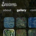Vara Kamin’s Impressions of Light
